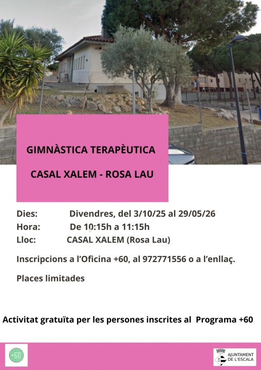 acte 56980cartell gimnastica rosa lau