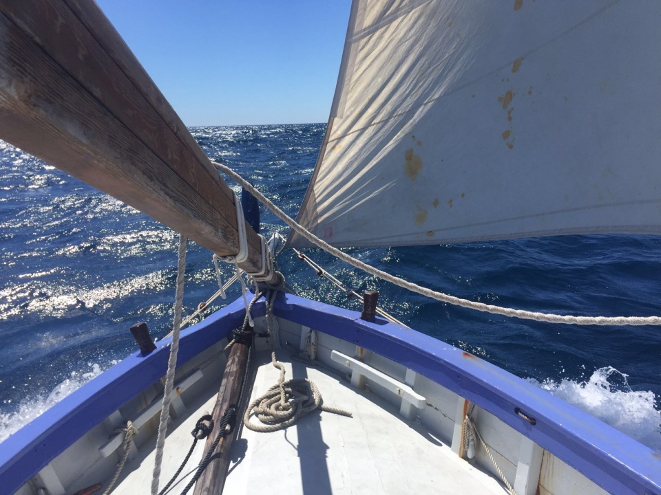 acte 30519img 0316+%281%29